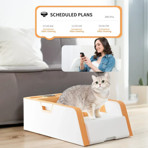 Automated Open Cat Litter Box