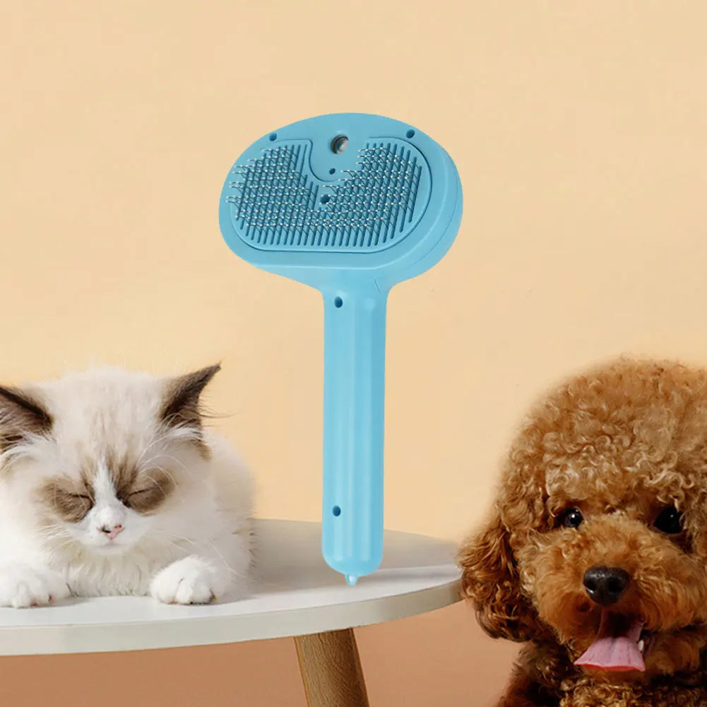 Cat Steam Hair Remover Brush Multi-Function