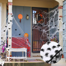Mini Black Plastic Fake Spiders