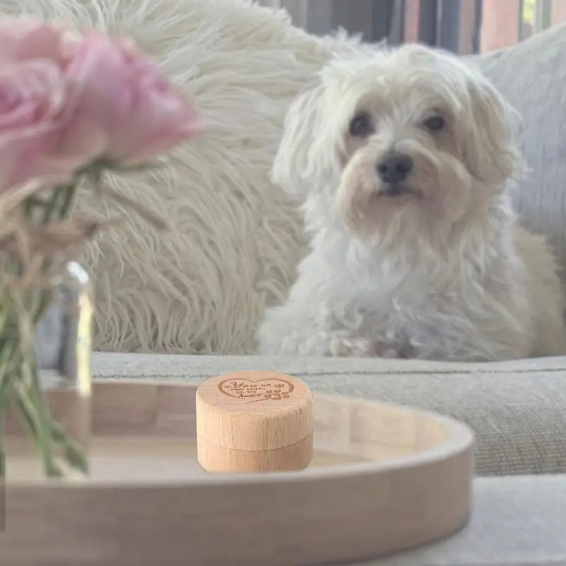 Pet Hair/Tooth Keepsake Wood Box