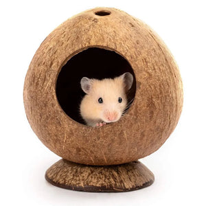 Coconut Hut Small Animal House