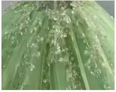 Long Train  Quinceanera Dress