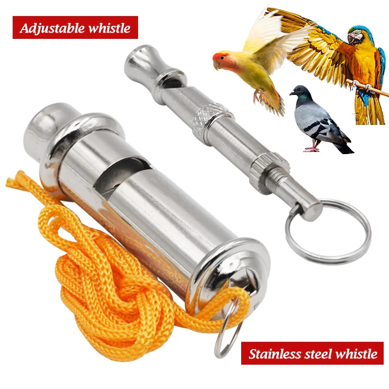 Stainless Steel Training Whistle
