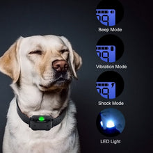 Waterproof Remote Control Rechargeable 800m Electric Dog Training