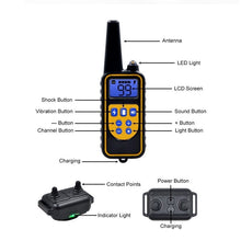 Waterproof Remote Control Rechargeable 800m Electric Dog Training