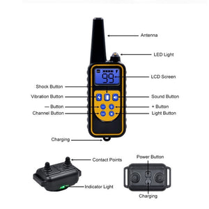 Waterproof Remote Control Rechargeable 800m Electric Dog Training