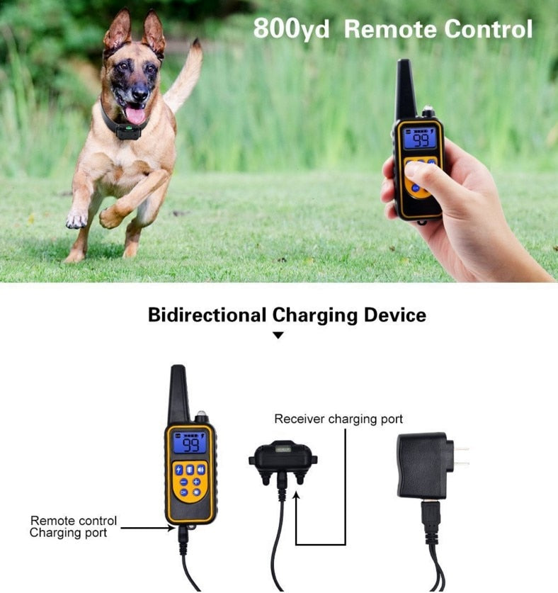 Waterproof Remote Control Rechargeable 800m Electric Dog Training