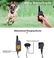 Waterproof Remote Control Rechargeable 800m Electric Dog Training