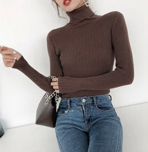 Elegant Turtleneck Sweater