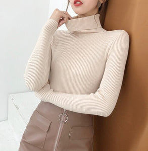 Elegant Turtleneck Sweater