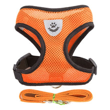 Adjustable Small Pet Vest Harness