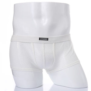 Low Rise Mesh See Through Boxer  Briefs