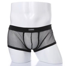 Low Rise Mesh See Through Boxer  Briefs