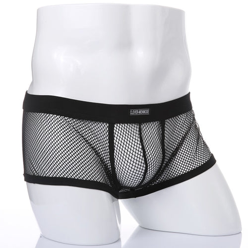 Low Rise Mesh See Through Boxer  Briefs