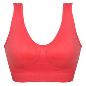 Padded Wireless Seamless Bra