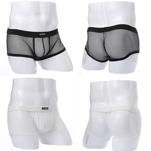 Low Rise Mesh See Through Boxer  Briefs