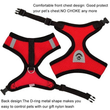 Adjustable Small Pet Vest Harness