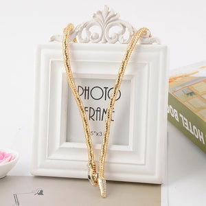 Trendy Elegant Long Snake Chain Necklace