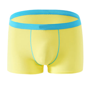 Cotton Boxer Underpants