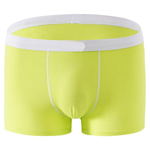 Cotton Boxer Underpants