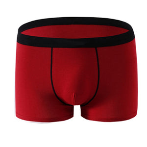 Cotton Boxer Underpants