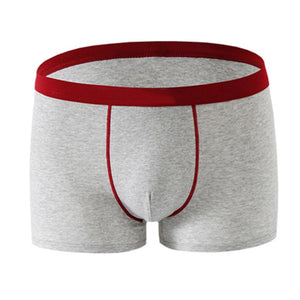 Cotton Boxer Underpants