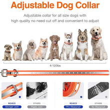 1000m Remote Control Waterproof Rechargeable Electric Dog Training Collar