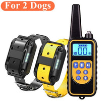 Waterproof Remote Control Rechargeable 800m Electric Dog Training