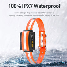 1000m Remote Control Waterproof Rechargeable Electric Dog Training Collar