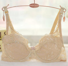 Underwire Full Cup Sheer Bra